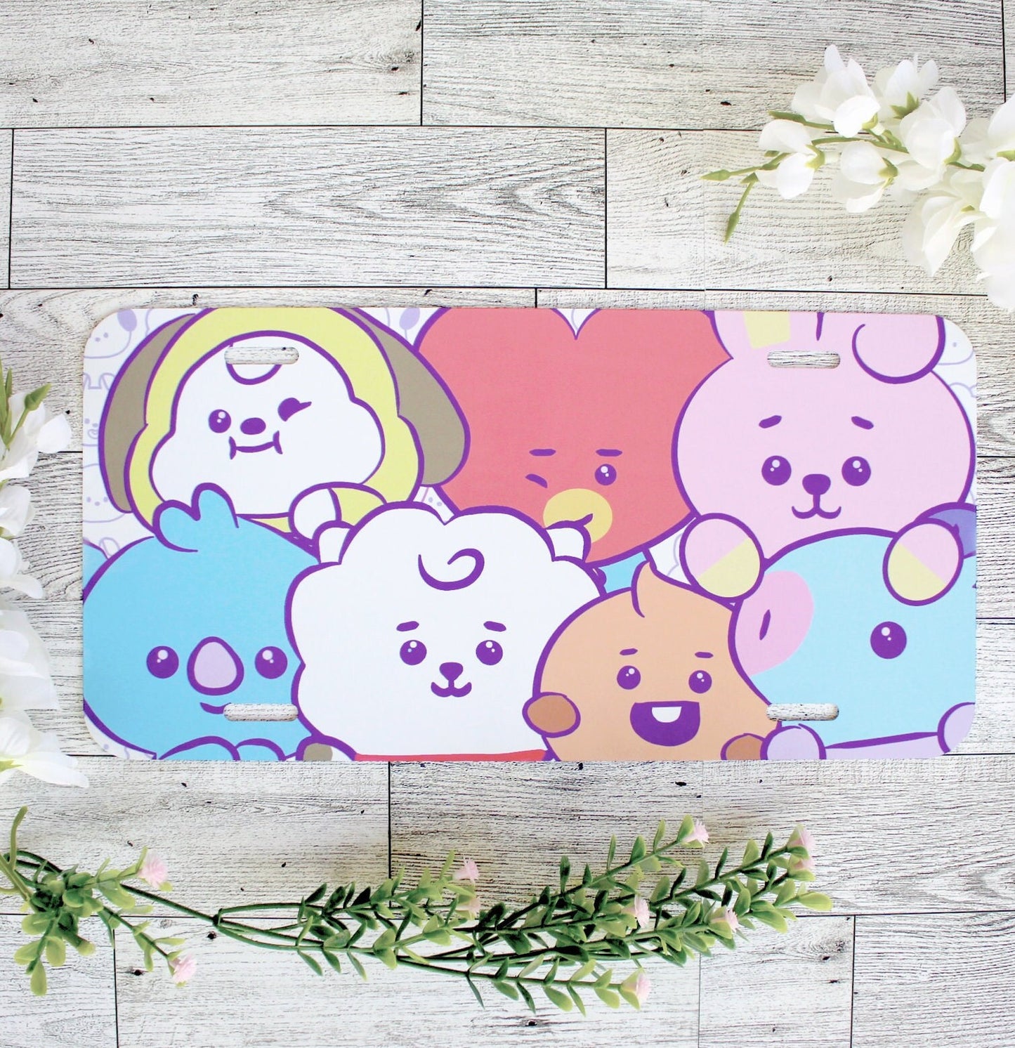 BTS Kpop BT21 Vanity License Plate Tag for Car