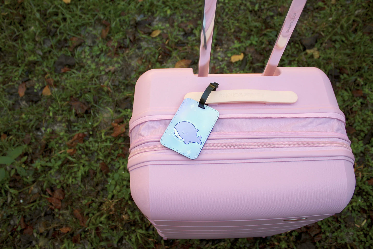 BTS Passport covers travel luggage